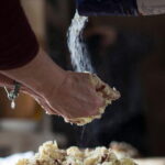 Authentic Culinary Experience in a Tuscan Family Estate - Midday Break and Estate Wines