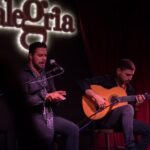 Authentic flamenco show. Alegria and gastronomy Malaga - Who Should Book This Tour?