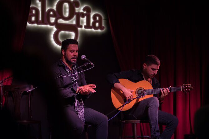 Authentic flamenco show. Alegria and gastronomy Malaga - Who Should Book This Tour?