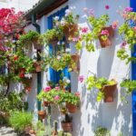 Authentic Patios of Cordoba Guided Tour - Why This Tour Works Well