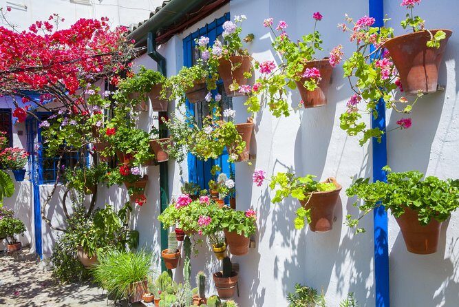 Authentic Patios of Cordoba Guided Tour - Why This Tour Works Well