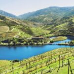 Authentic Small Group Douro Wine Tour with Lunch & River Cruise - Who Will Love This Tour?