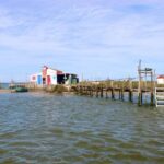 Aveiro: passeio de barco típico com degustação - 90 min - The Guides and Experience