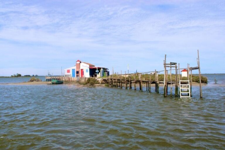 Aveiro: passeio de barco típico com degustação - 90 min - The Guides and Experience