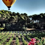 Balloon flight: panoramic view of Montserrat and Transport from Barcelona - The Itinerary Breakdown