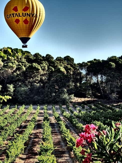 Balloon flight: panoramic view of Montserrat and Transport from Barcelona - The Itinerary Breakdown
