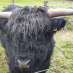 Balmoral Castle Tour From Inverness - FAQs