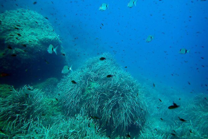 Baptism of diving from boat - FAQ