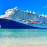 Barcelona Arrival Cruise Port to Airport private transfer - What to Expect During Your Transfer