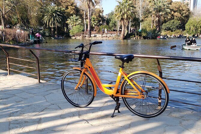 Barcelona City Highlights Bike Tour with E-Bike Option - Who Should Consider This Tour?