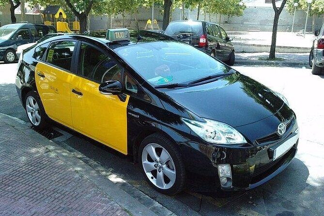 Barcelona Cruise port to city or Airport Private Transfer - Who Should Book This Transfer?