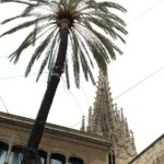 Barcelona Gothic Quarter From Roman Walls to Hidden Courtyards - Key Points