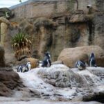 Barcelona Segway Tour - Key Points