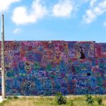 Barcelona Street Art and Graffitti Bicycle Tour - What Travelers Can Expect During the Tour