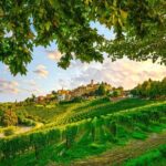 Barolo wine Tasting, Alba, UNESCO Castle: Small Group from Milan - Who Will Love This Tour?