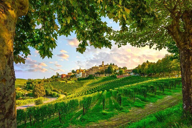 Barolo wine Tasting, Alba, UNESCO Castle: Small Group from Milan - Who Will Love This Tour?