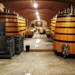Barolo&Barbaresco wine tour with a local winemaker - The Itinerary in Detail: What to Expect