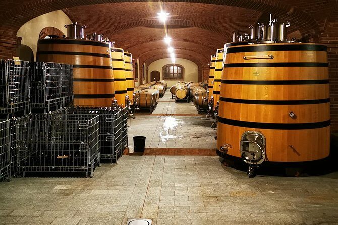 Barolo&Barbaresco wine tour with a local winemaker - The Itinerary in Detail: What to Expect