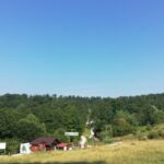 Bear Sanctuary and Dracula's Castle, 1-day Private Tour - A Deep Dive into the Day: What to Expect