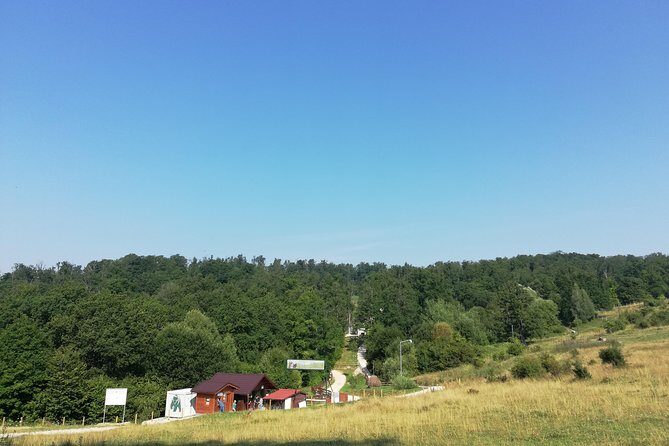 Bear Sanctuary and Dracula's Castle, 1-day Private Tour - A Deep Dive into the Day: What to Expect