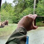 Bears and Dracula Private Full-Day Tour from Bucharest - FAQ