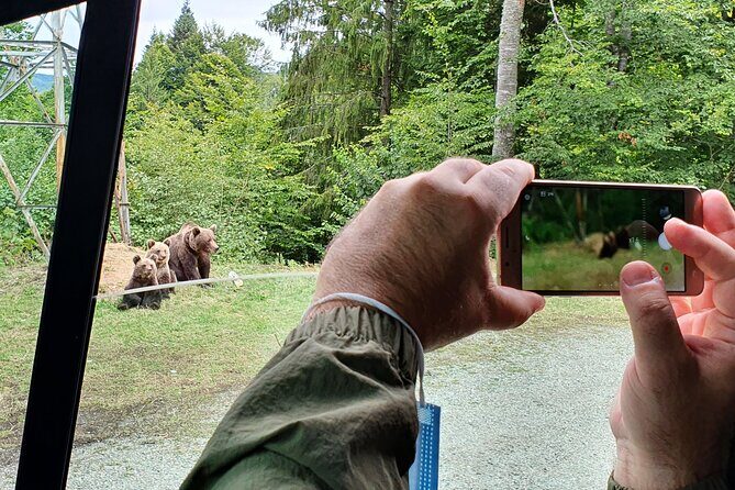 Bears and Dracula Private Full-Day Tour from Bucharest - FAQ