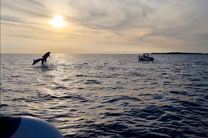 Beautiful Sunset and Dolphin Watching - Final Thoughts: Is It Worth It?