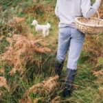 Beginner Foraging Walk: Wild food walking tour & tasters - Is it Worth the Price? Analyzing Value