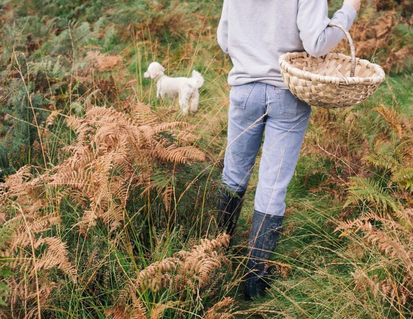Beginner Foraging Walk: Wild food walking tour & tasters - Is it Worth the Price? Analyzing Value