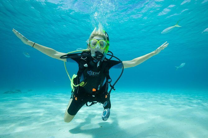 Beginners Scuba Diving Experience in Gran Canaria - Is It Good Value?