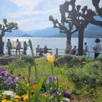 Bellagio & Varenna Full-day Tour on Lake Como - What Makes This Tour Stand Out?