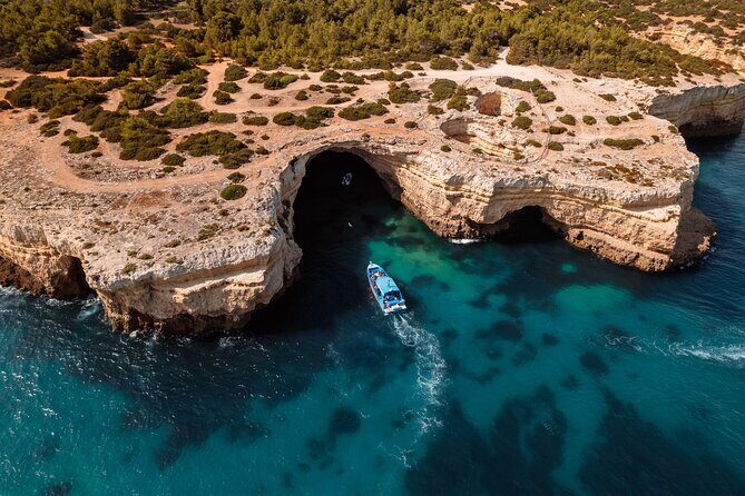Benagil Caves and Dolphin Watching - 2.5h - An In-Depth Look at the Tour Experience
