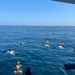 Benagil Caves & Coast from Portimão on an Eco-Friendly Catamaran - A Detailed Look at the Experience