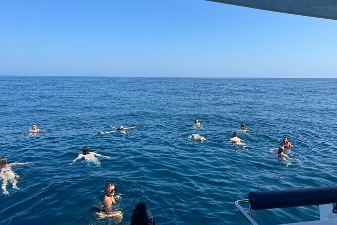 Benagil Caves & Coast from Portimão on an Eco-Friendly Catamaran - A Detailed Look at the Experience