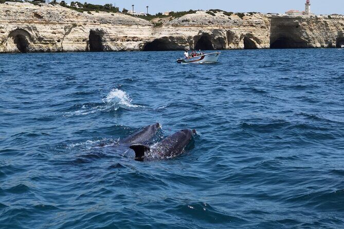 Benagil Caves Tour from Portimao - Who Will Love This Tour?