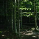 Berchtesgaden-Obersalzberg Private Half Day WWII Historical Tour - Who Should Consider This Tour?