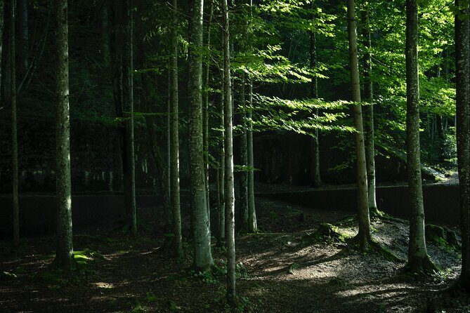 Berchtesgaden-Obersalzberg Private Half Day WWII Historical Tour - Who Should Consider This Tour?