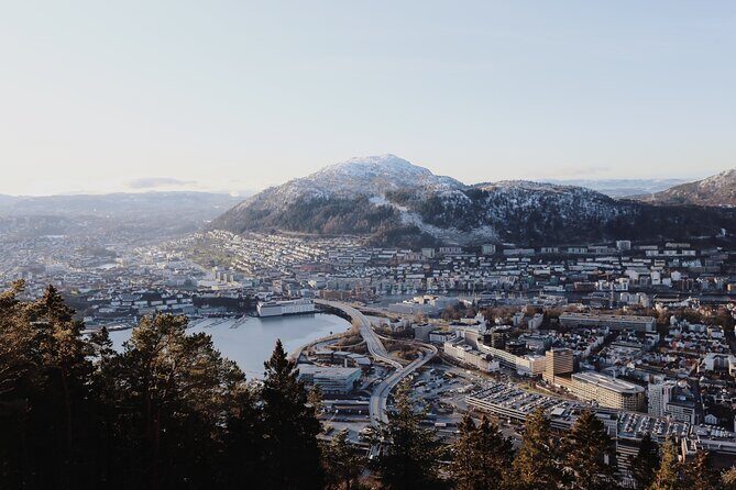 Bergen Like a Local: Customized Private Tour - Who Should Consider This Tour?