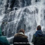 Bergen: Mostraumen Fjord Cruise - The Local Operator - An In-Depth Look at the Experience