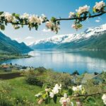 Bergen: Private Full-Day Roundtrip to Hardangerfjord with cruise - The Scenic Drive Along Highway 7: Norway’s Crown Jewel