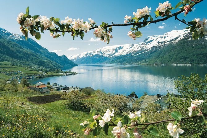 Bergen: Private Full-Day Roundtrip to Hardangerfjord with cruise - The Scenic Drive Along Highway 7: Norway’s Crown Jewel