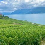 Bern Private Tour - Gruyères , Cheese, and Lavaux's UNESCO Wine - What Makes This Tour Stand Out?
