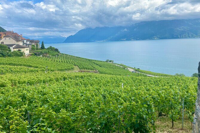 Bern Private Tour - Gruyères , Cheese, and Lavaux's UNESCO Wine - What Makes This Tour Stand Out?