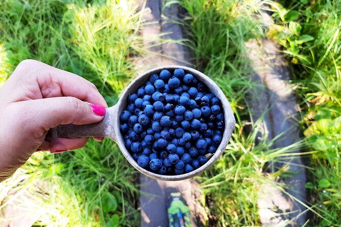Berry Picking in a National Park - Practical Details and Considerations