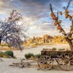 Best of Red and Green Small Group Guided Tour - Authentic Experiences and Tips from Reviewers