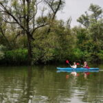 Biesbosch: Kayak Rental with Route Map and Life Jacket - The Journey: What to Expect During Your Paddle