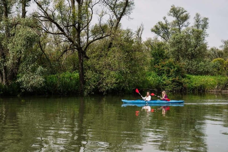 Biesbosch: Kayak Rental with Route Map and Life Jacket - The Journey: What to Expect During Your Paddle
