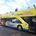 Big Bus Athens Hop-On Hop-Off with optional Piraeus & Riviera - Practical Aspects of the Tour