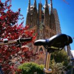 Bike and Sailing Tour in Barcelona - Authentic Experiences and Review Highlights