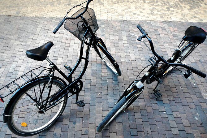 Bike Rental in Malaga - Who Will Love This Experience?
